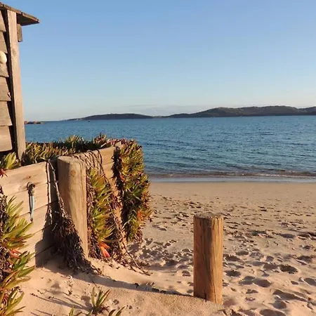 דירה Vue Piscine Dans De Standing פורטו-וישיו