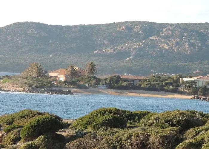 Vue Piscine Dans De Standing Lägenhet Porto-Vecchio (Corsica)